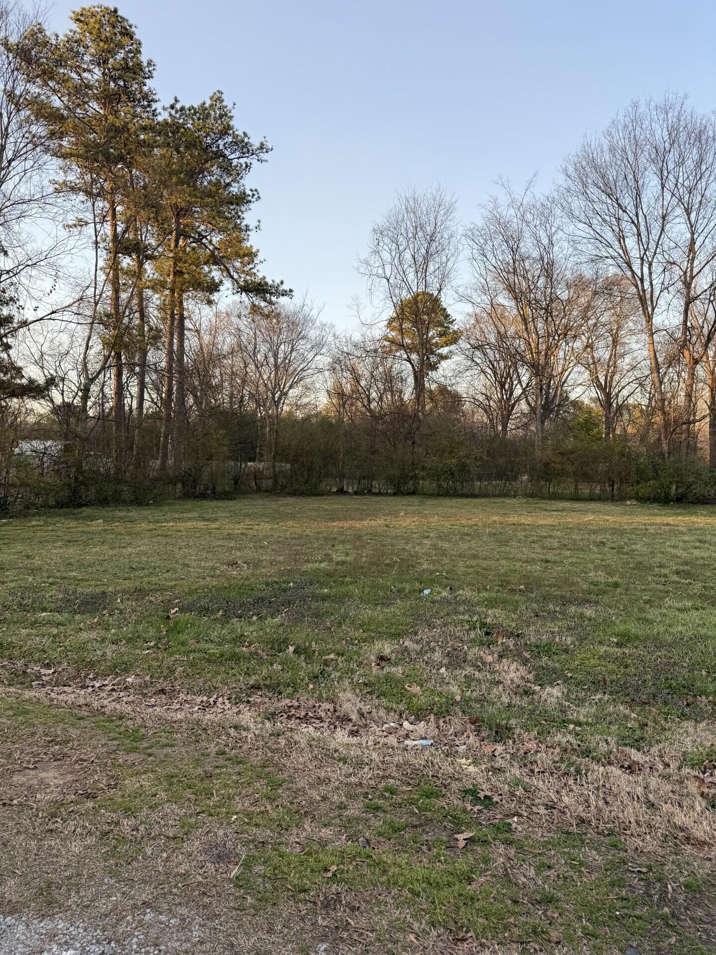 Matthews Drive, East Ridge, Tennessee image 1