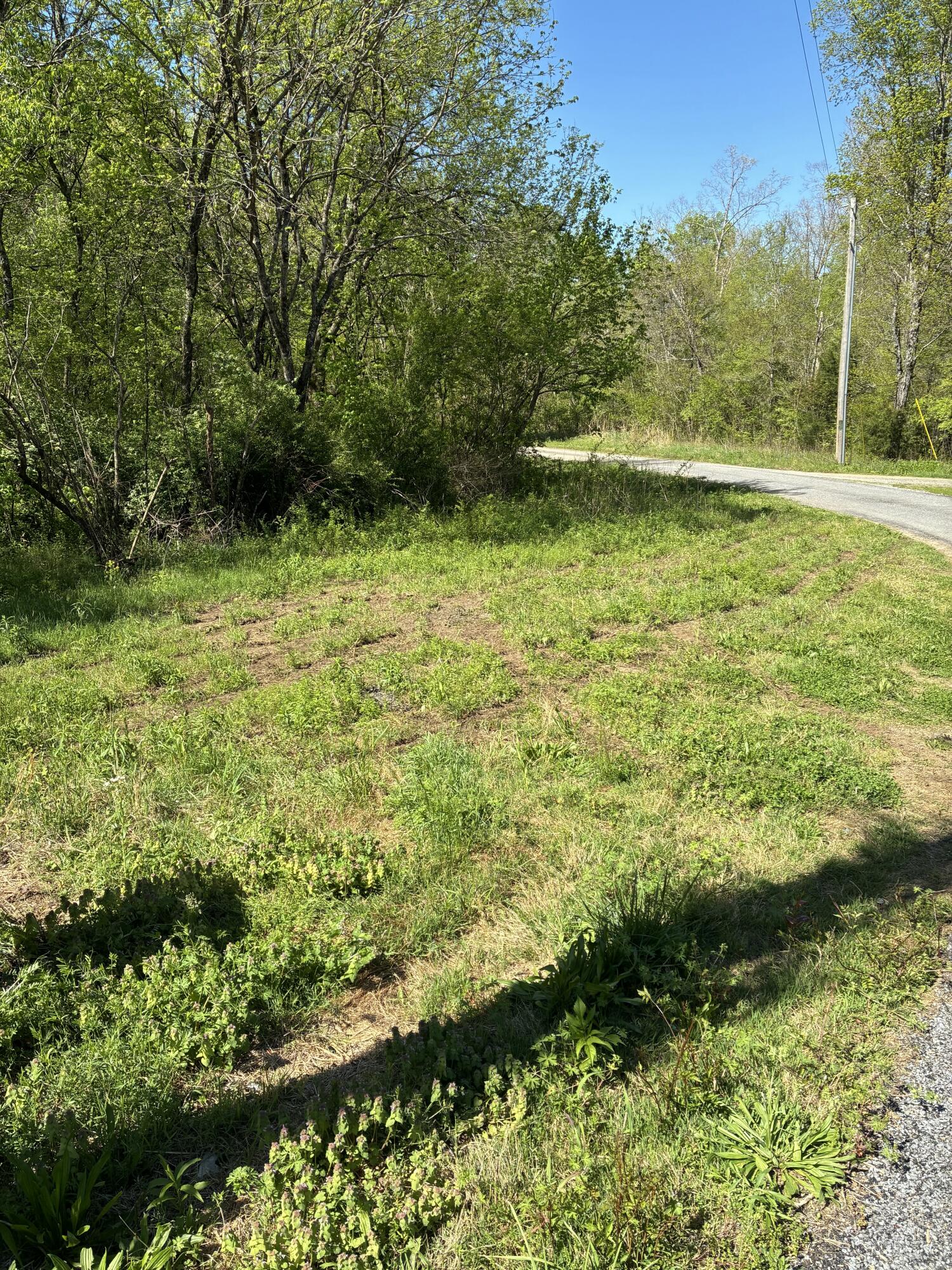 883 Of County Road, Etowah, Tennessee image 1