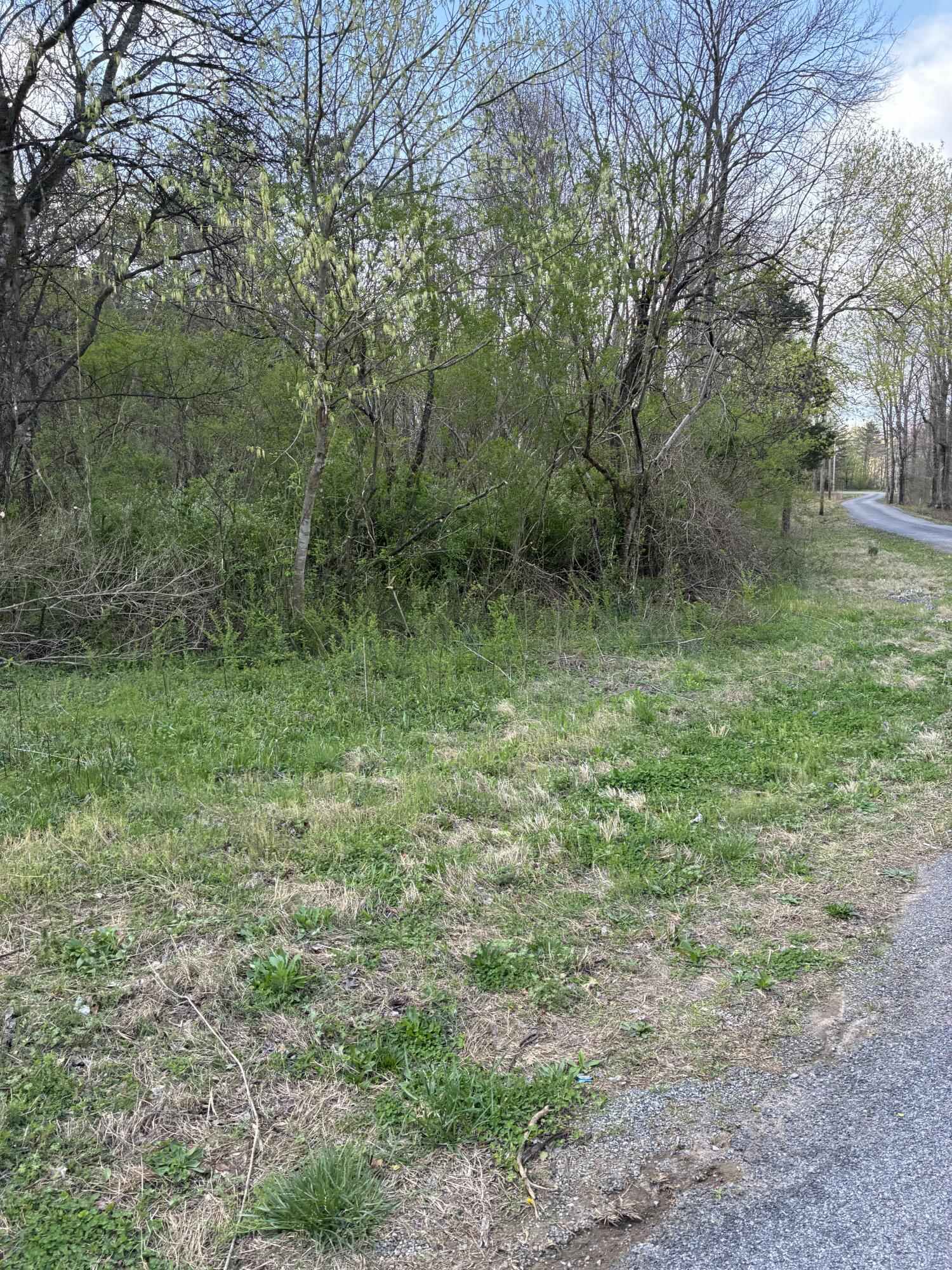 883 Of County Road, Etowah, Tennessee image 7