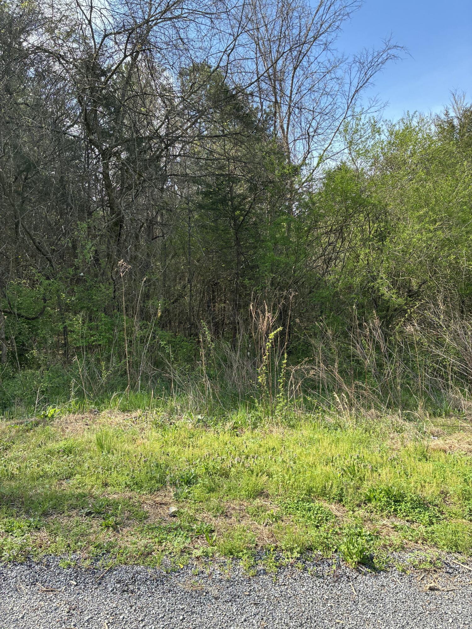 883 Of County Road, Etowah, Tennessee image 4
