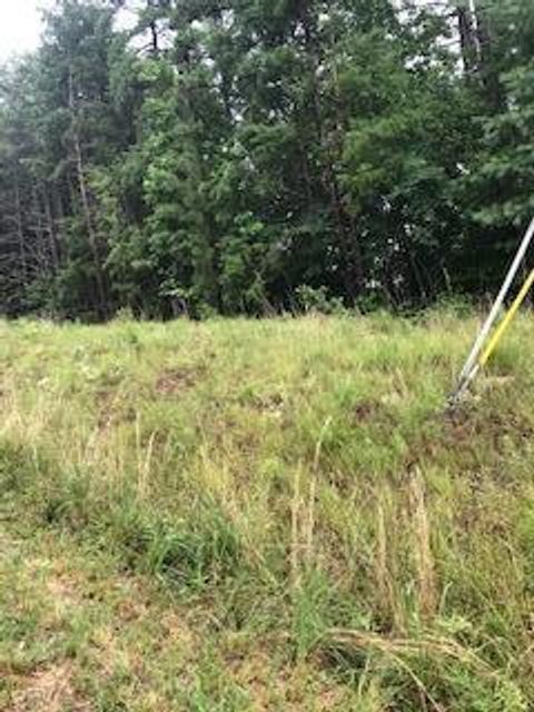 Tiny photo for 0 Belaire Drive, Copperhill, TN 37317 (MLS # 1359350)