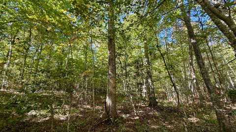 Photo of 00 Owl Hollow Road, Dunlap, TN 37327 (MLS # 1521627)