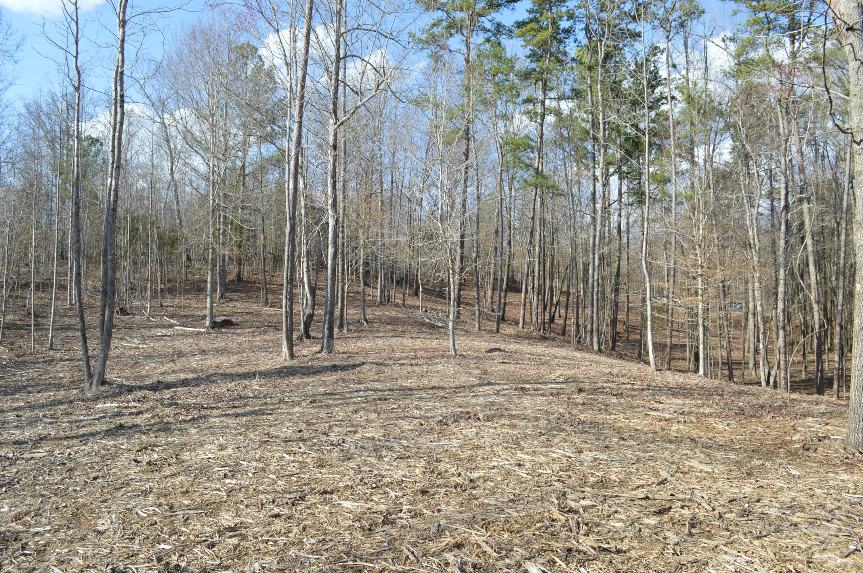 Lot 6 Old York Road, Cleveland, Tennessee image 1
