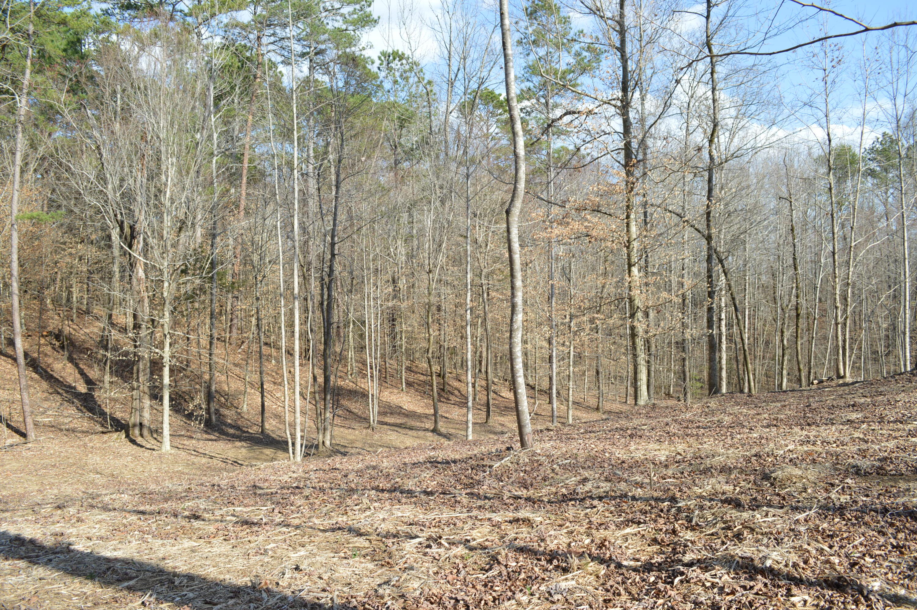 Lot 6 Old York Road, Cleveland, Tennessee image 5