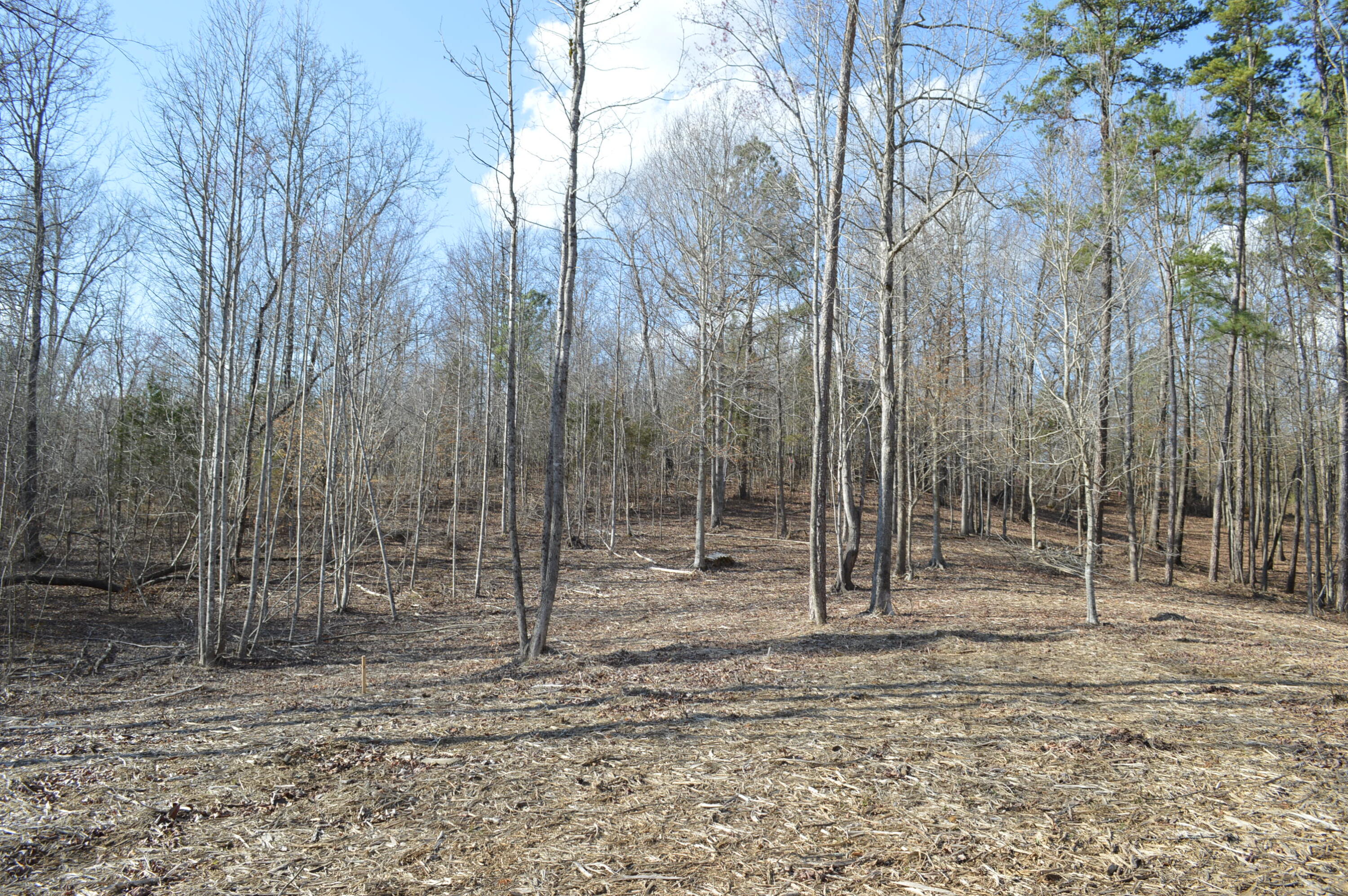 Lot 6 Old York Road, Cleveland, Tennessee image 4