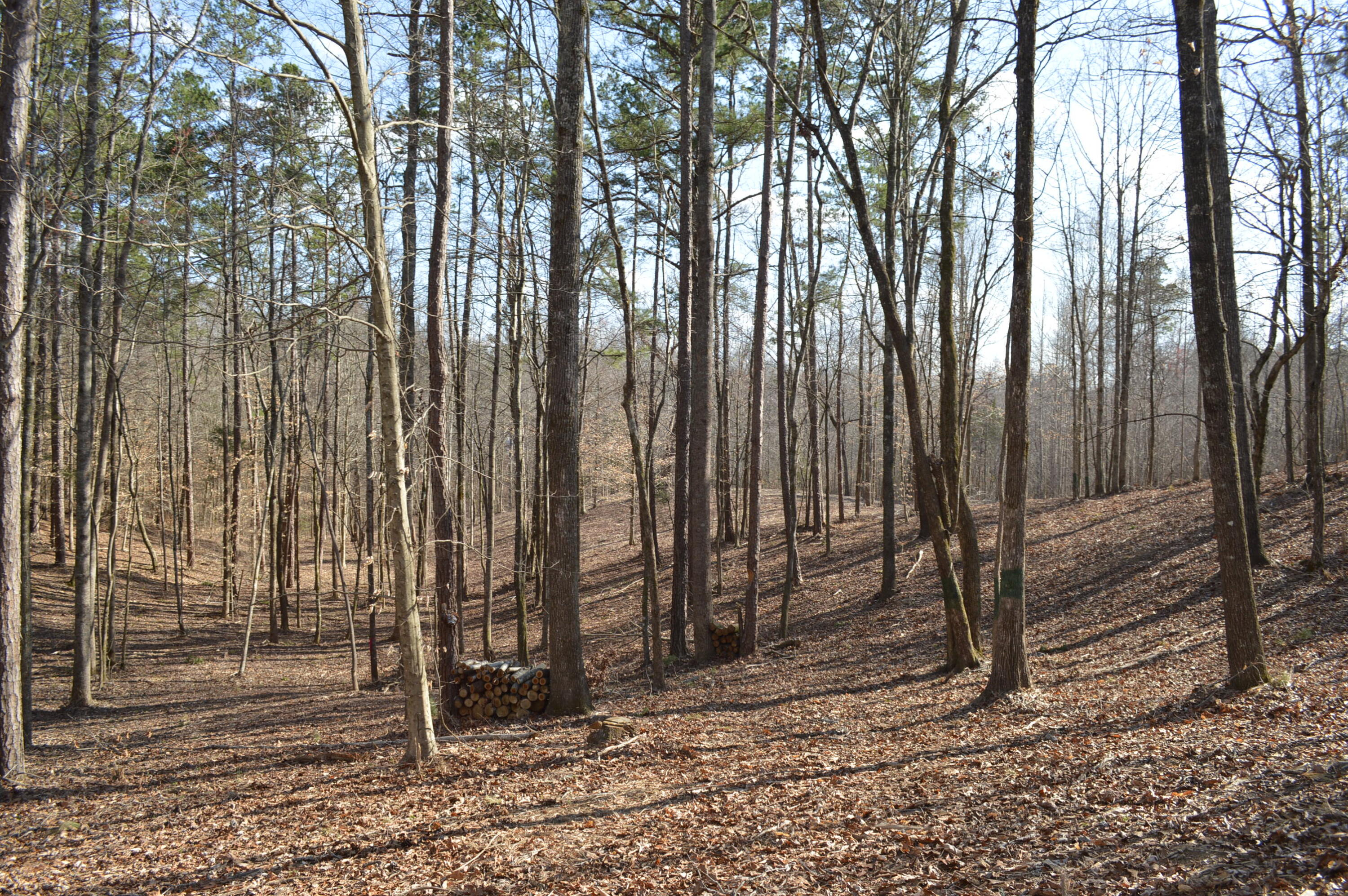 Lot 6 Old York Road, Cleveland, Tennessee image 6