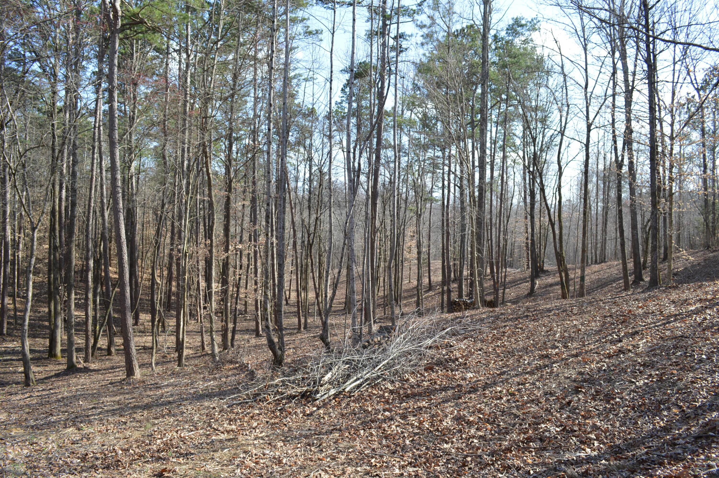 Lot 6 Old York Road, Cleveland, Tennessee image 7