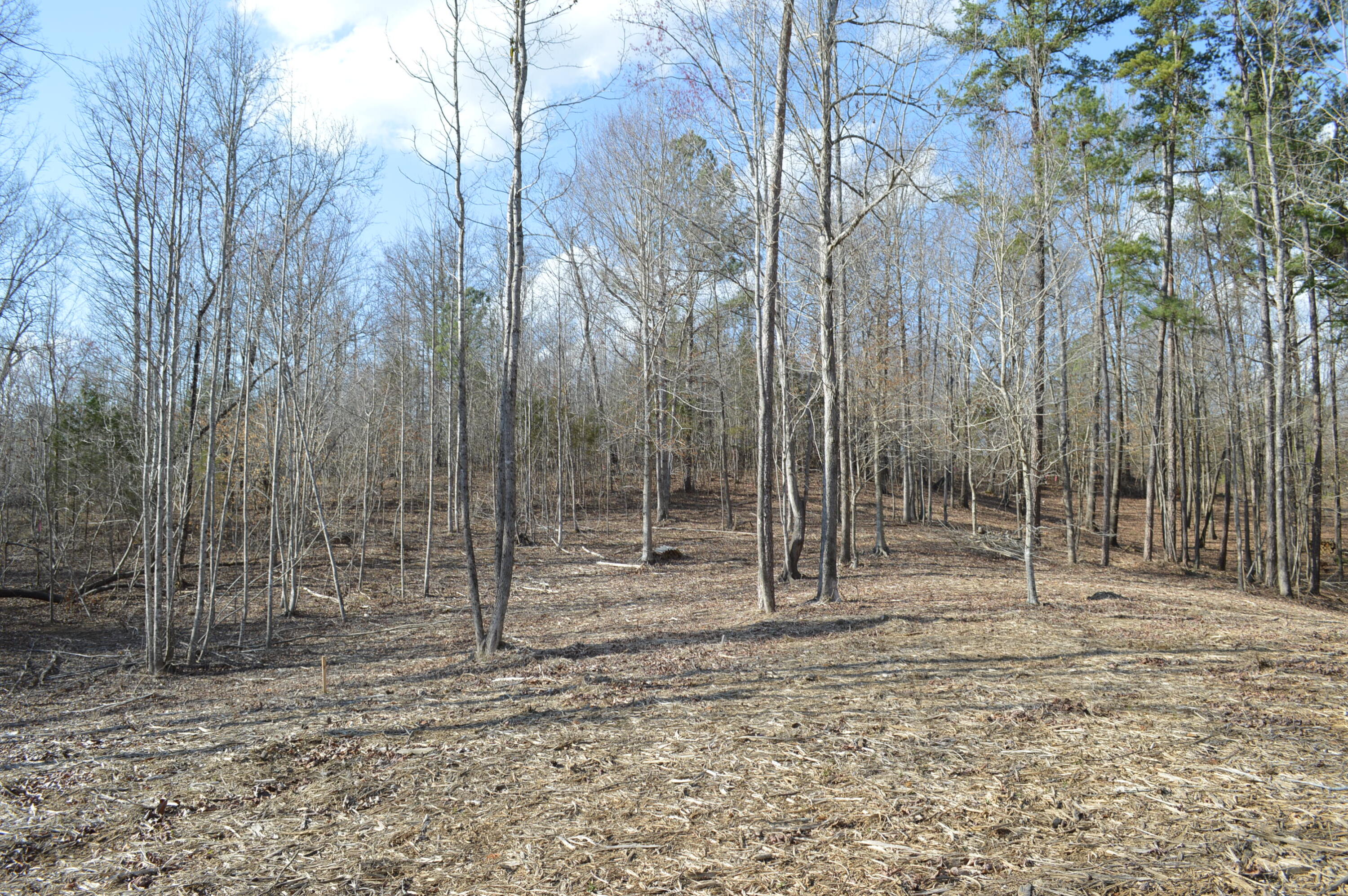 Lot 6 Old York Road, Cleveland, Tennessee image 3