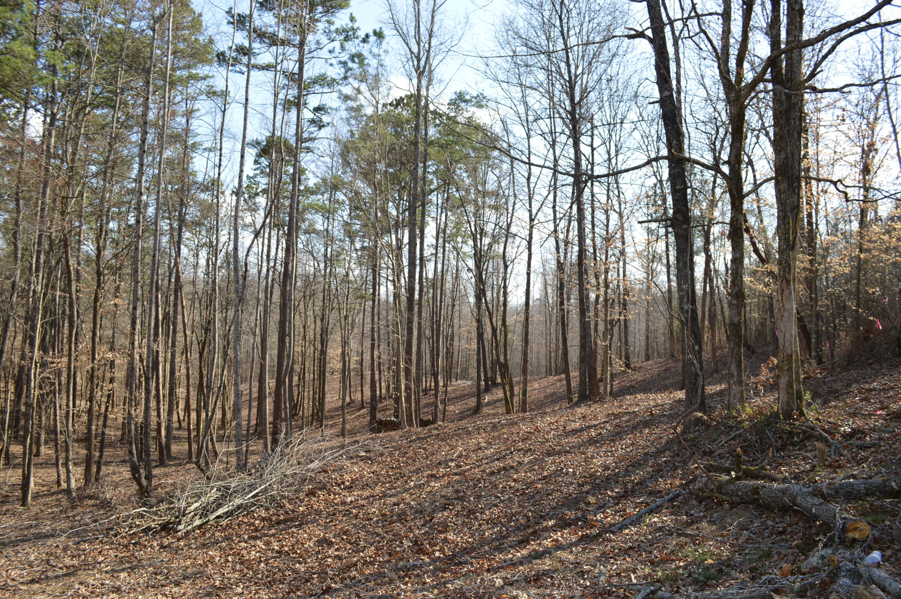 Lot 6 Old York Road, Cleveland, Tennessee image 9