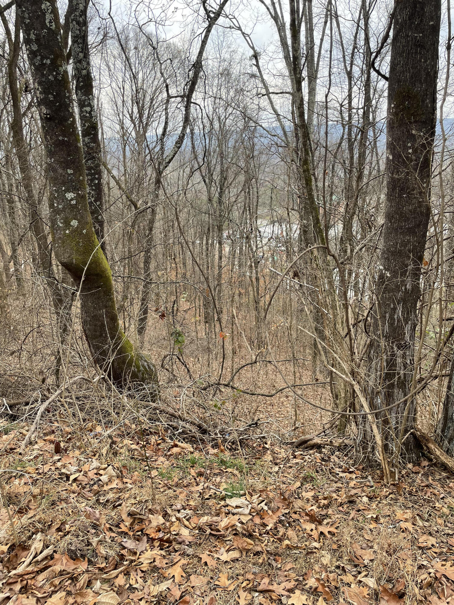 1428 Gold Crest Drive, Hixson, Tennessee image 2