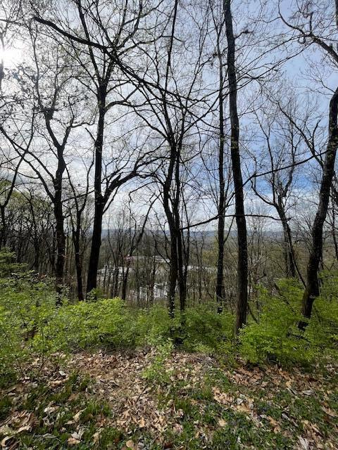 1428 Gold Crest Drive, Hixson, Tennessee image 6