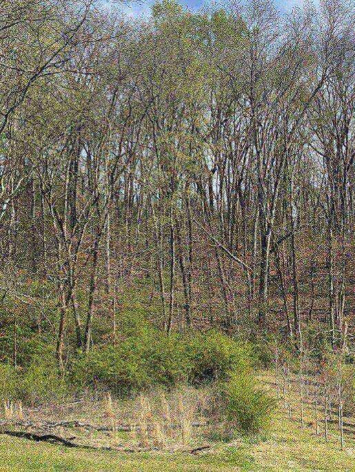 1428 Gold Crest Drive, Hixson, Tennessee image 5