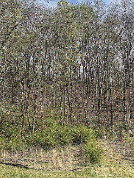 1428 Gold Crest Drive, Hixson, Tennessee image 3