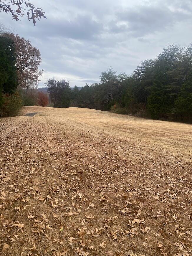 Old Highway 28, Dunlap, Tennessee image 6