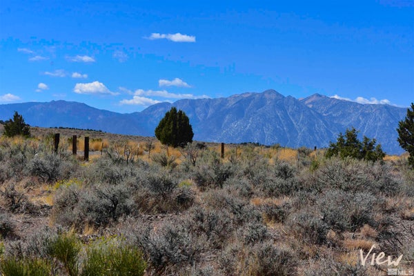 1167 OUT R WAY, GARDNERVILLE, NV 89410 - Image 2d1ebe98a8cebfa9ab258cd4f16701f7/144835507
