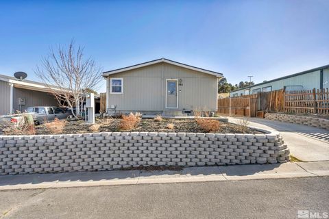 261 Miriam Way, Moundhouse, NV 89706 - #: 250004382