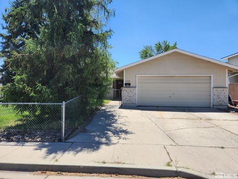 Single Family Residence in Carson City NV 1529 Appaloosa Ct.jpg