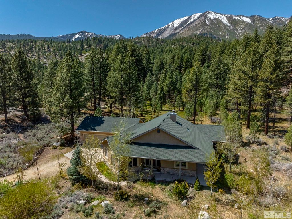 Photo of 105 Old Mill Place, Washoe Valley, NV 89704 (MLS # 250005905)