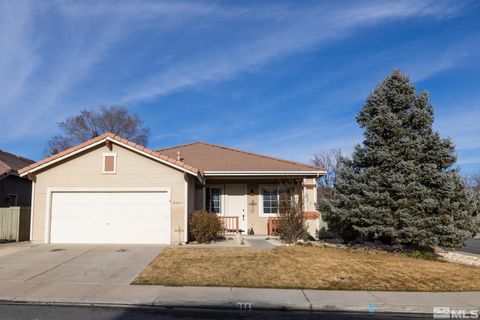 9668 Thunder Mountain, Reno, NV 89521 - #: 250002111