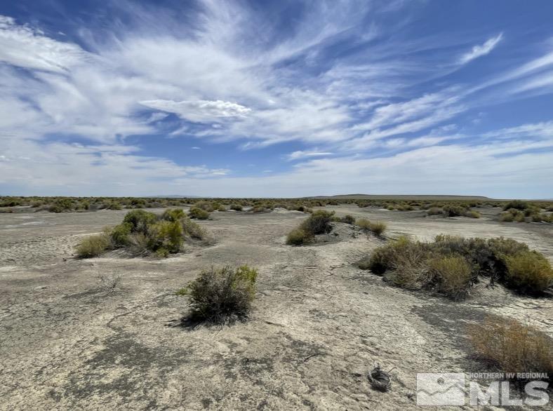 Fallon, Nevada 89406, United States, ,Land,Active,71646