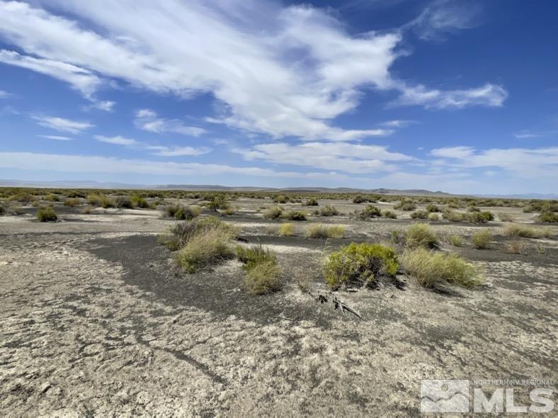 Fallon, Nevada 89406, United States, ,Land,Active,71646