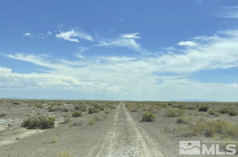 Fallon, Nevada 89406, United States, ,Land,Active,71646