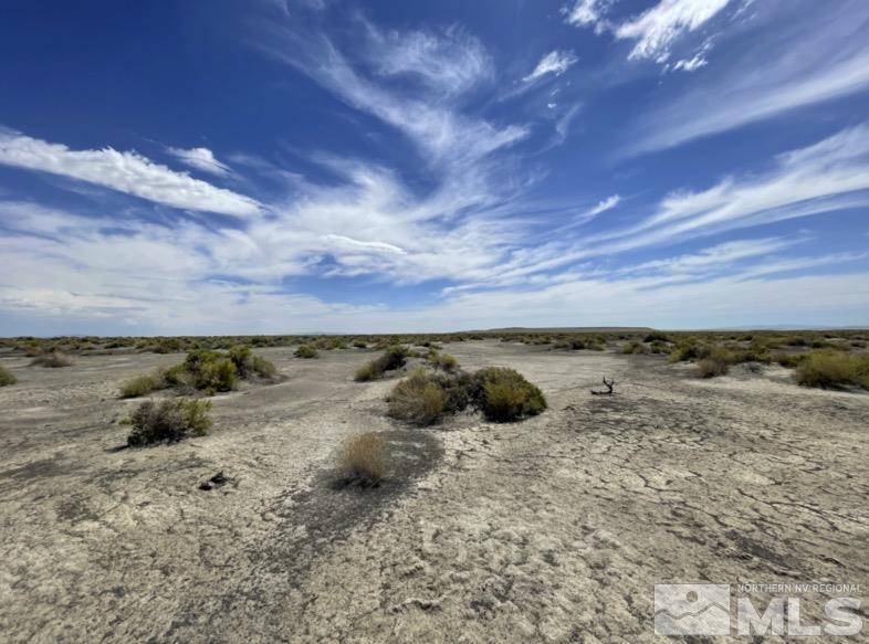 Fallon, Nevada 89406, United States, ,Land,Active,71646