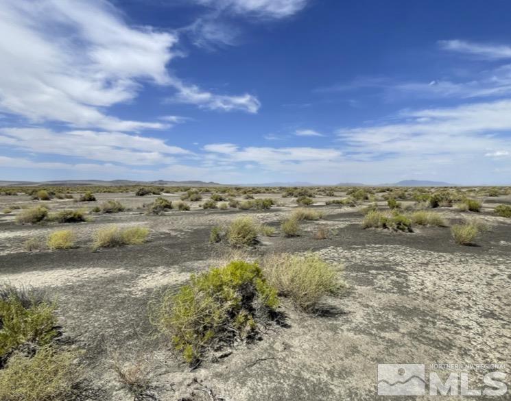 Fallon, Nevada 89406, United States, ,Land,Active,71646