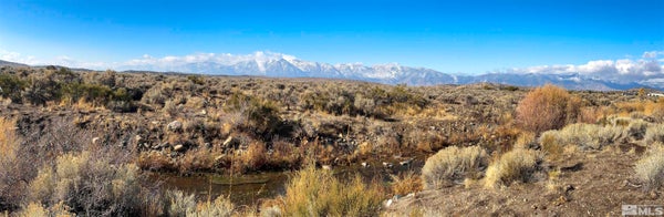 TBD BRAY WAY, GARDNERVILLE, NV 89410 - Image 87ad4b732dd0ba0a24f4e7ecde96522f/462109018