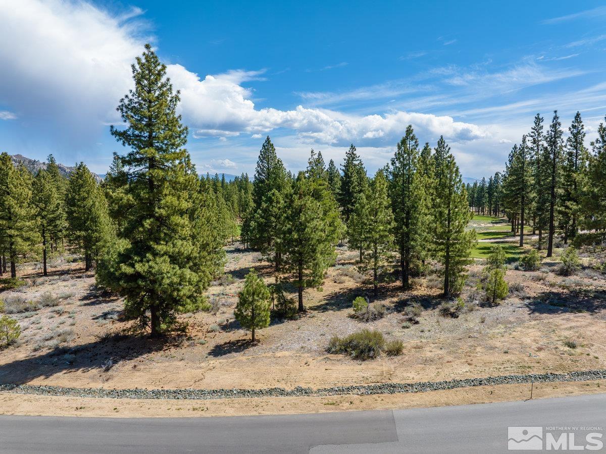 3316 Golf Club Drive