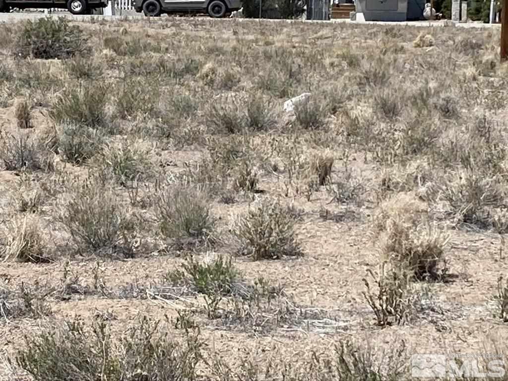 Yerington, Nevada 89447, United States, ,Land,Active,74891