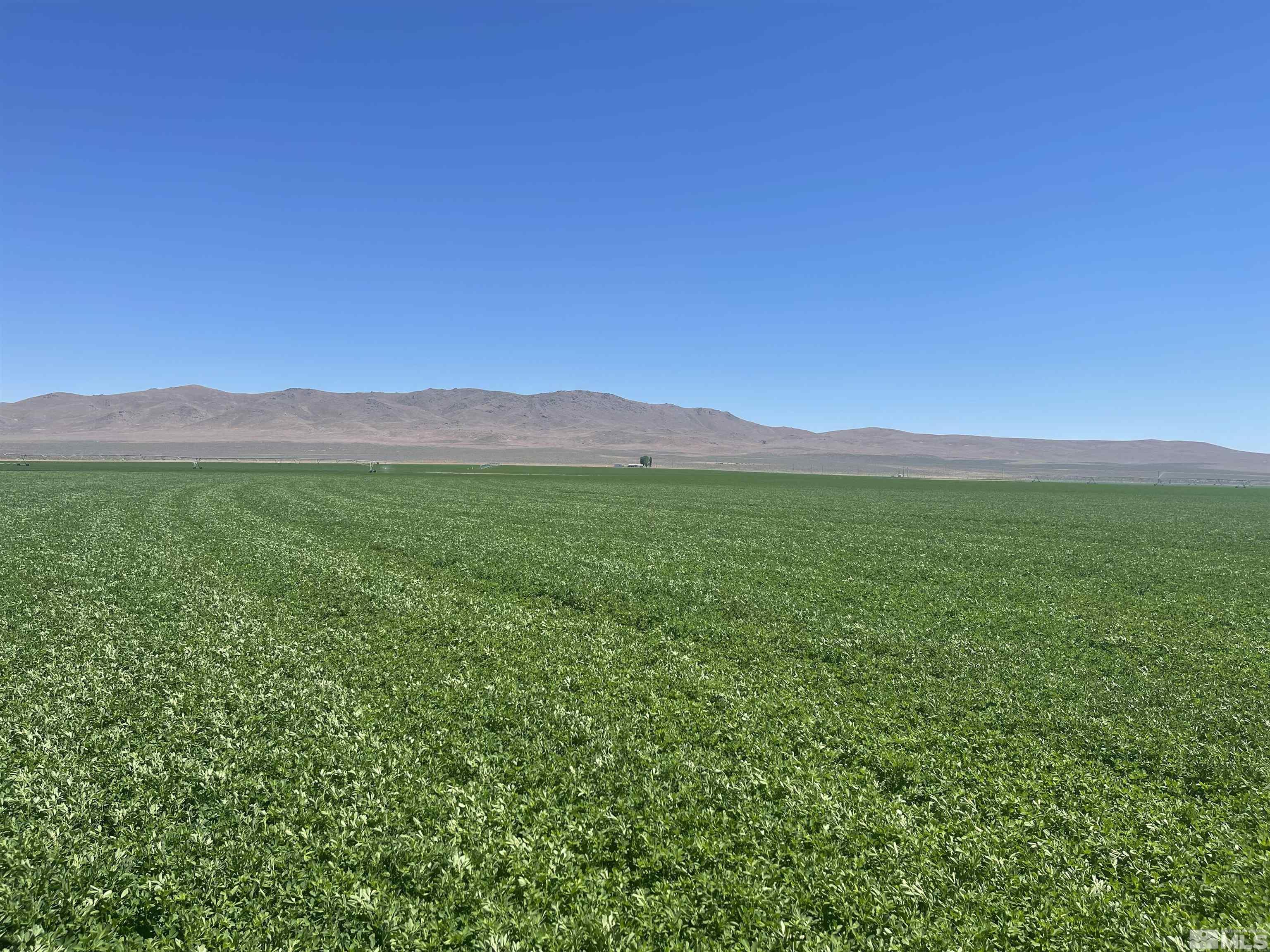 51955 Wilder Creek Road