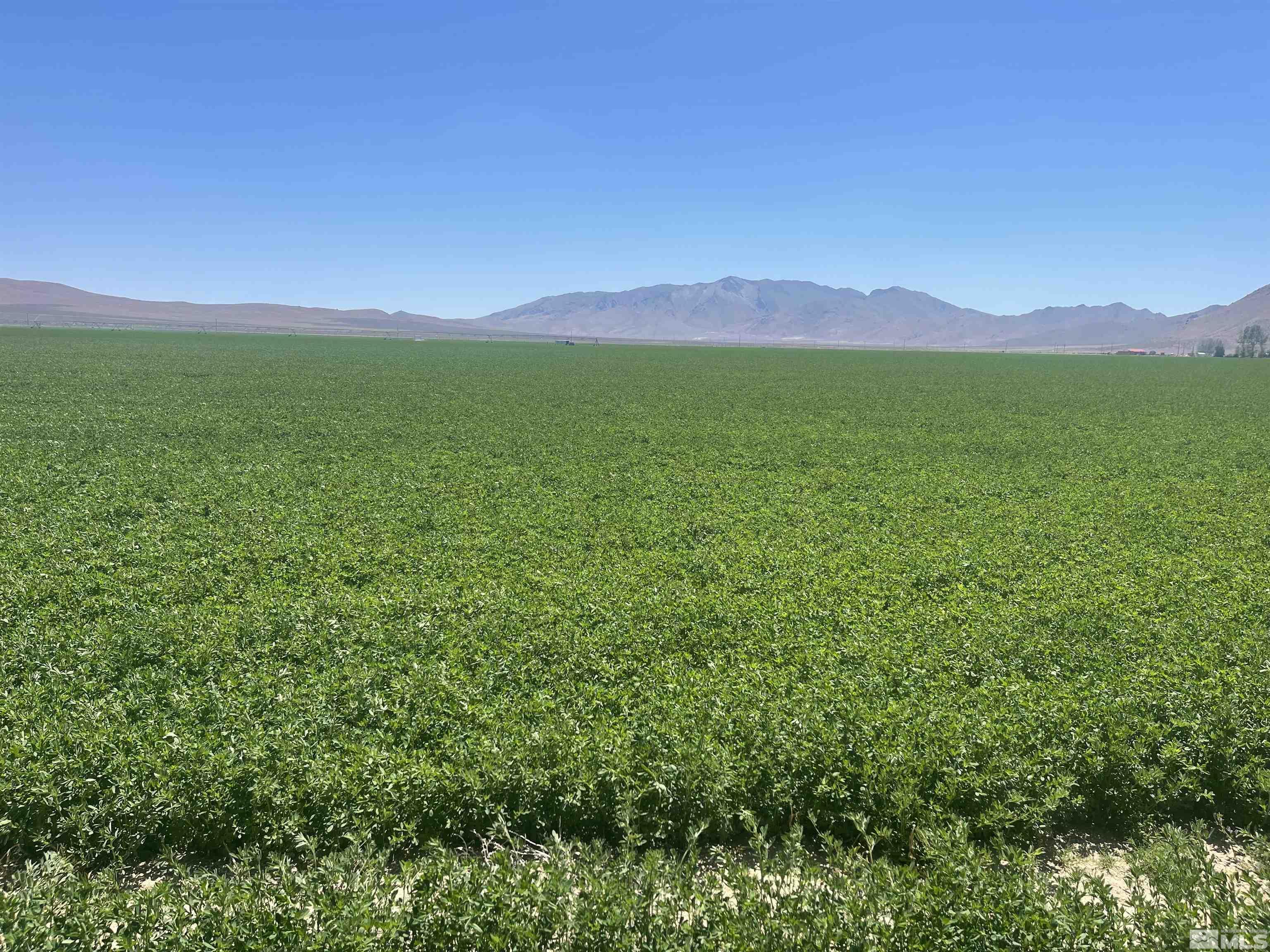 51955 Wilder Creek Road