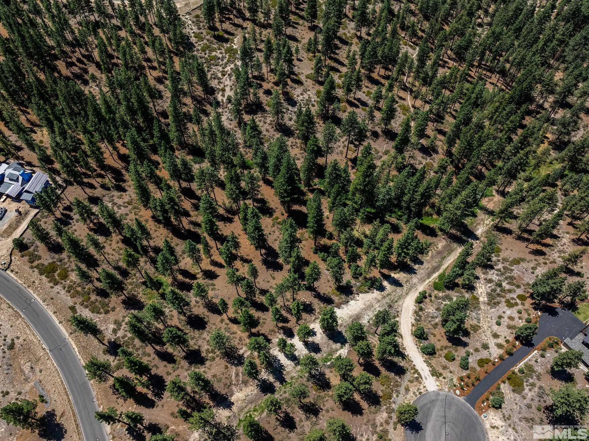 121 Chamberlain Court