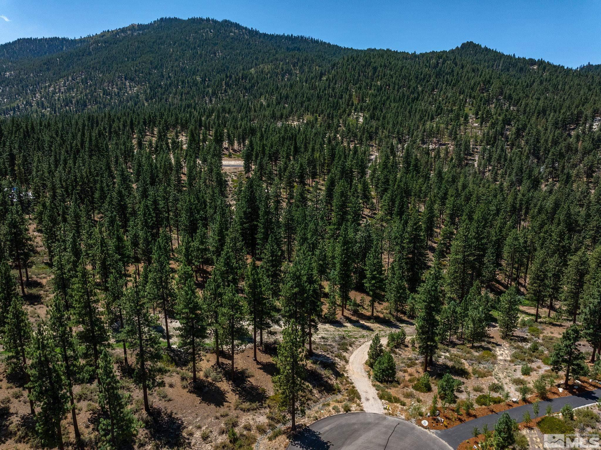 121 Chamberlain Court