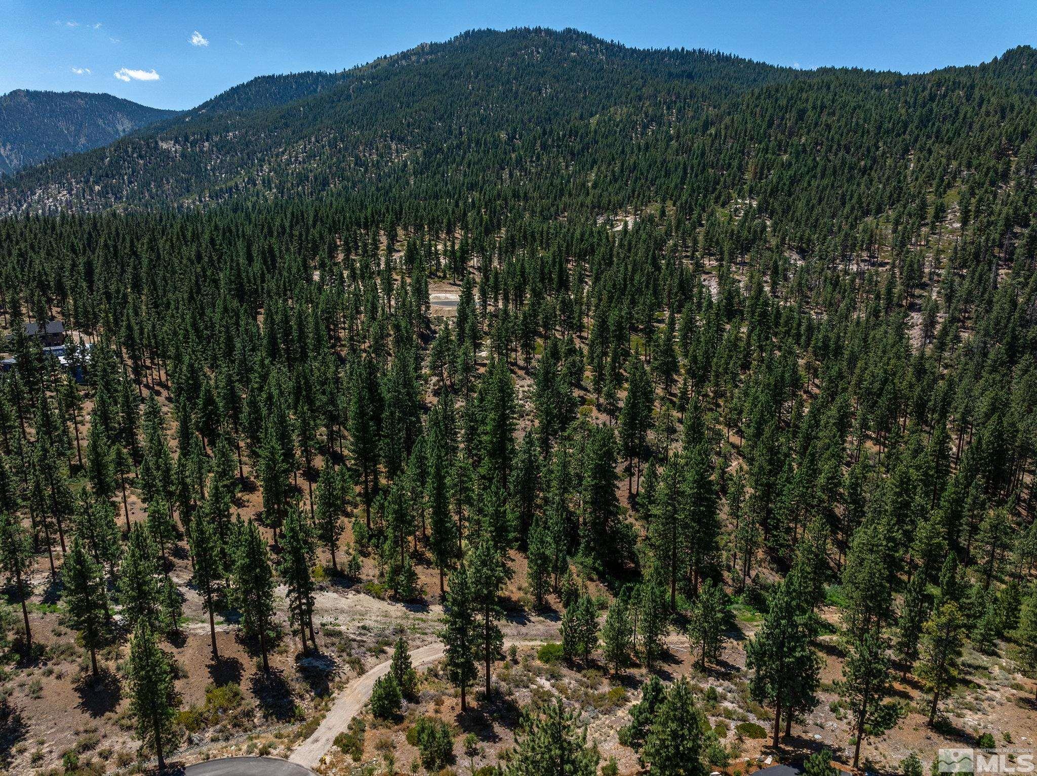 121 Chamberlain Court