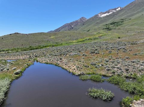 000 Secret Springs Gerlach NV 89412