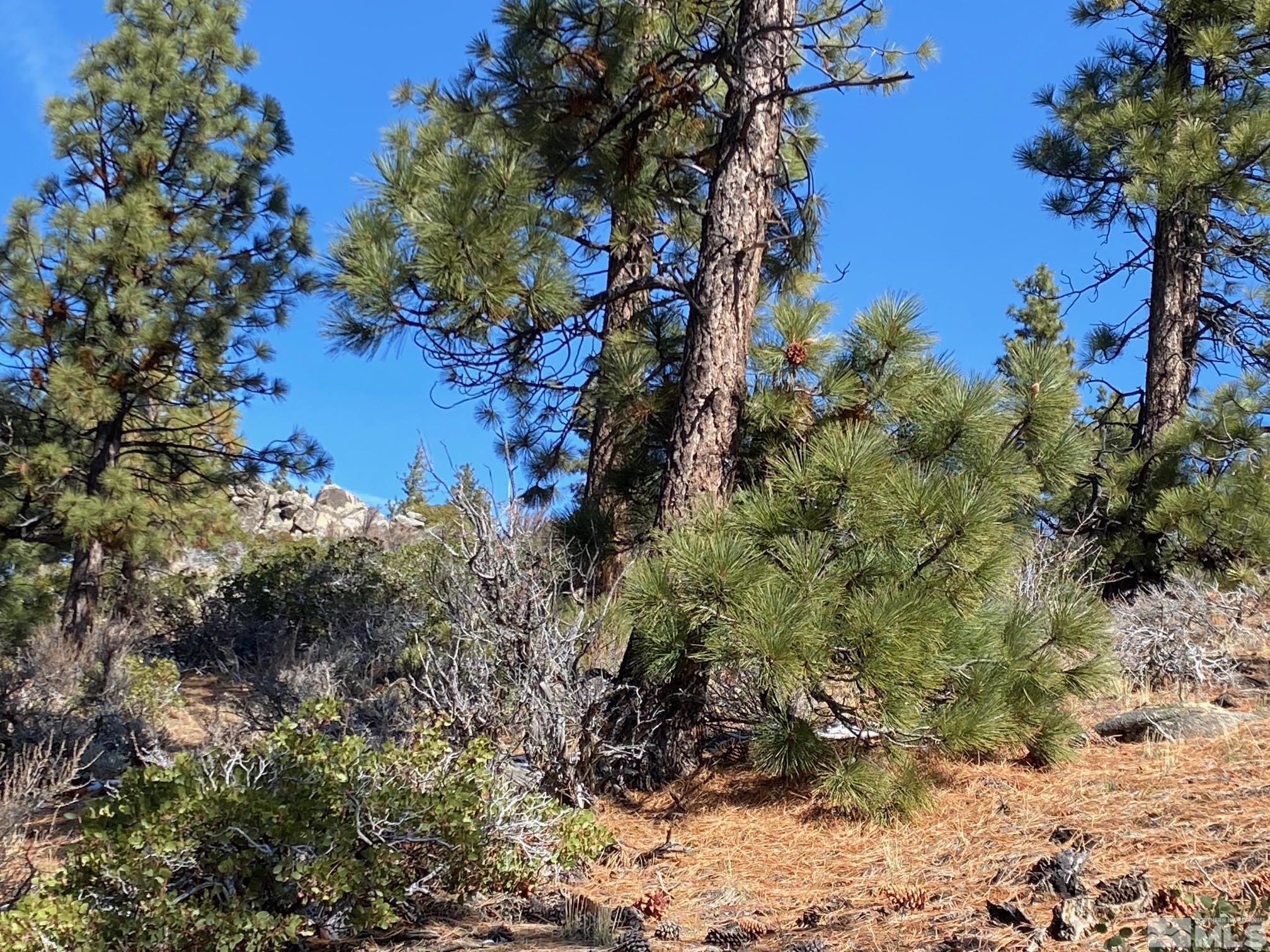 180 Scenic Range Court