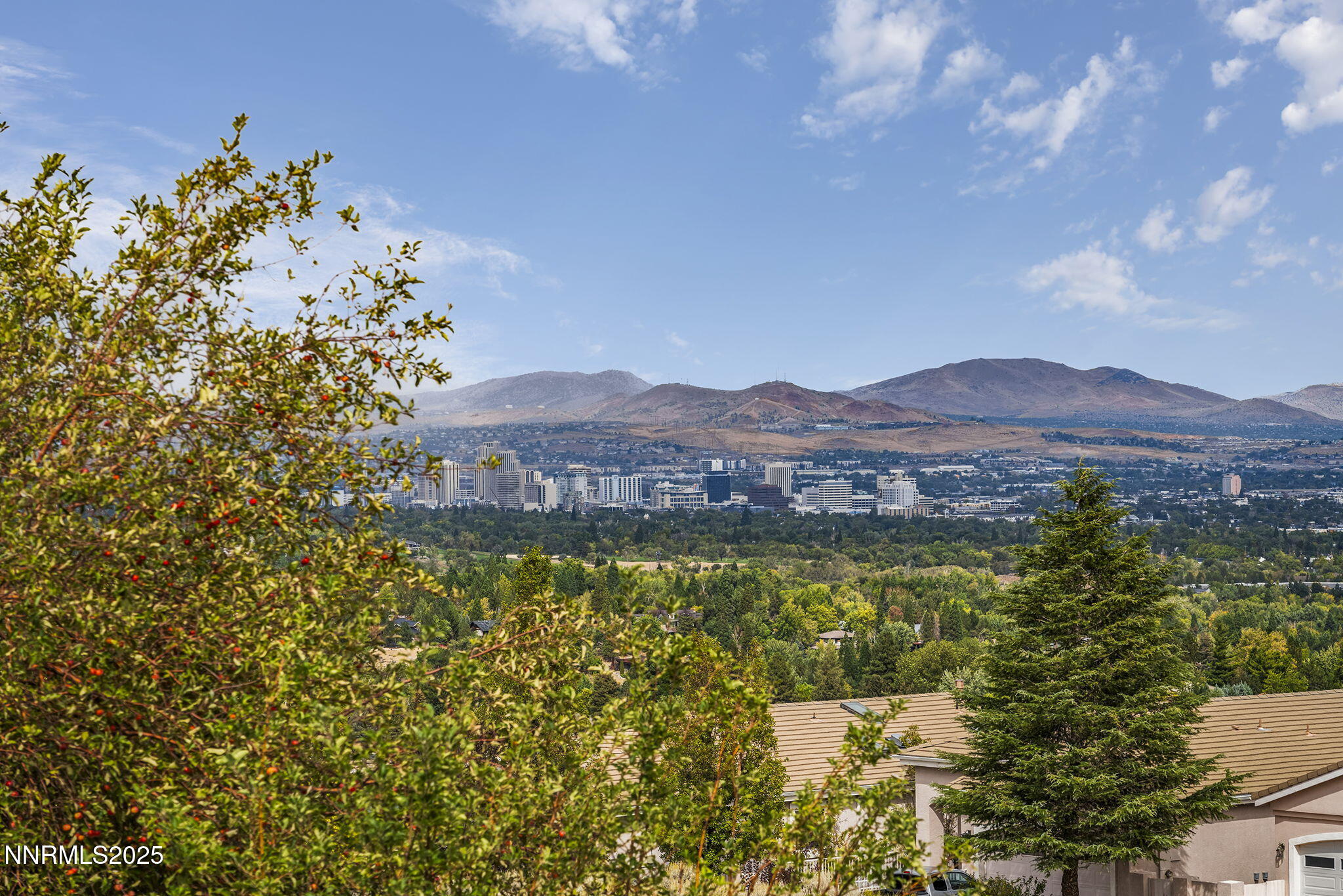 40-web-or-mls-_DSC1539