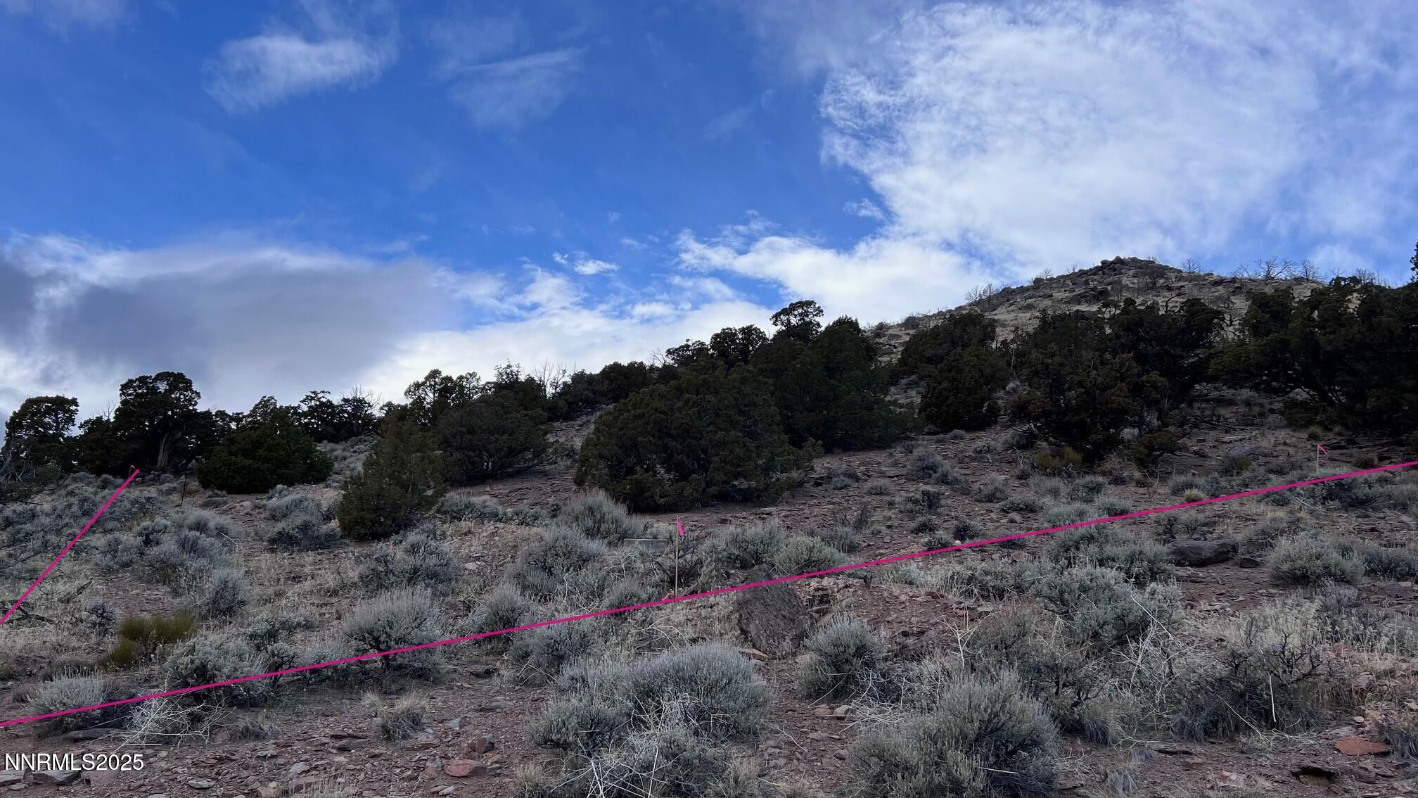 SE Corner Boundary Lines