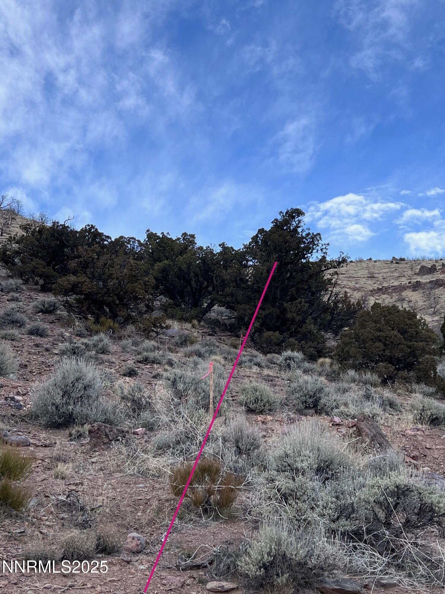 East Boundary from SE Corner