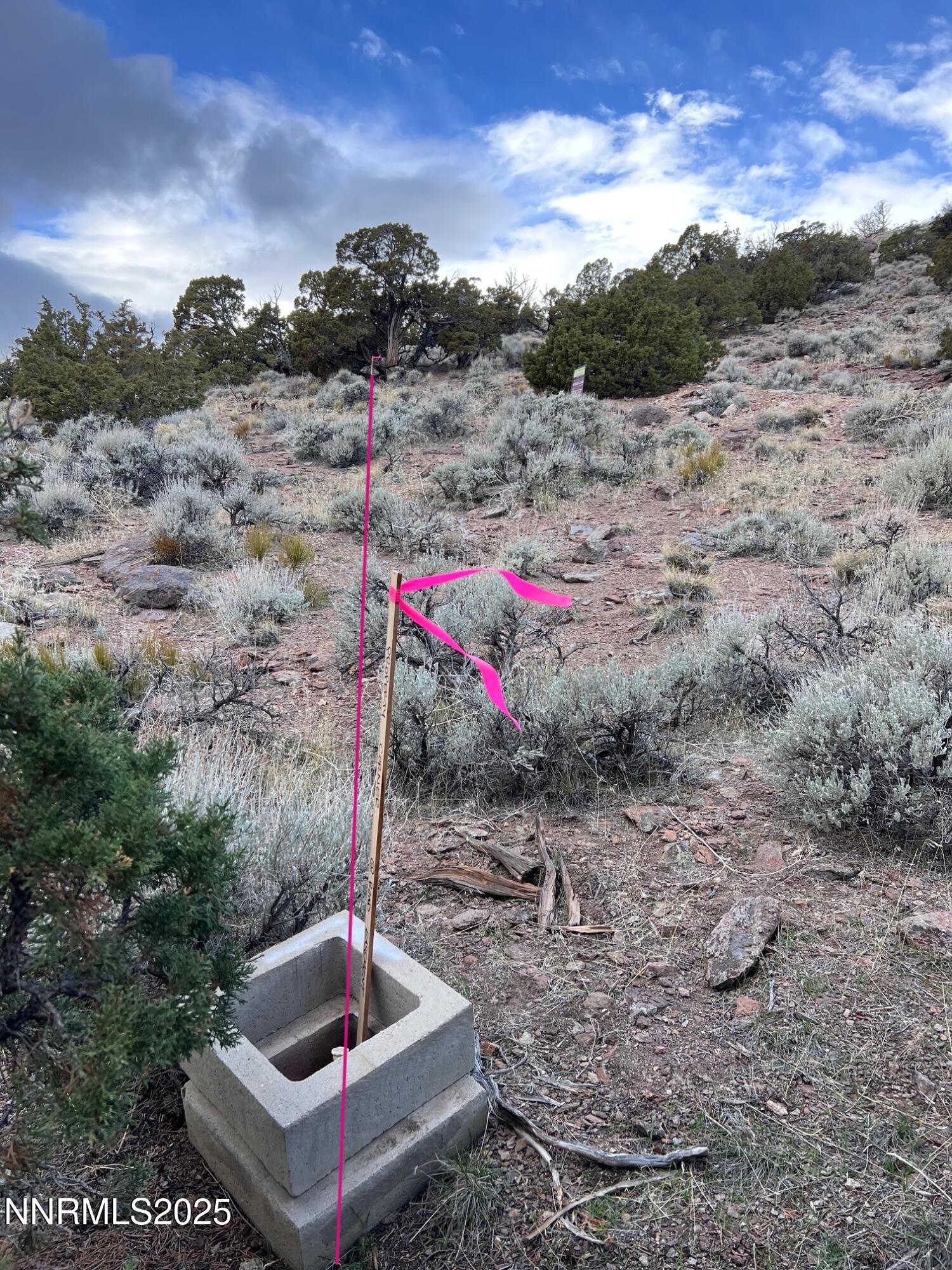 South Boundary from SE Corner