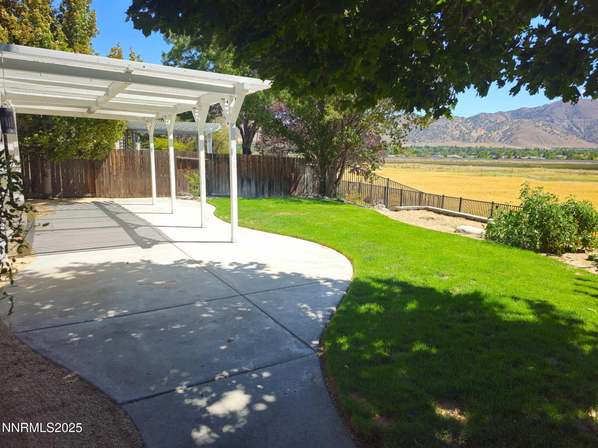 Backyard looking from the side