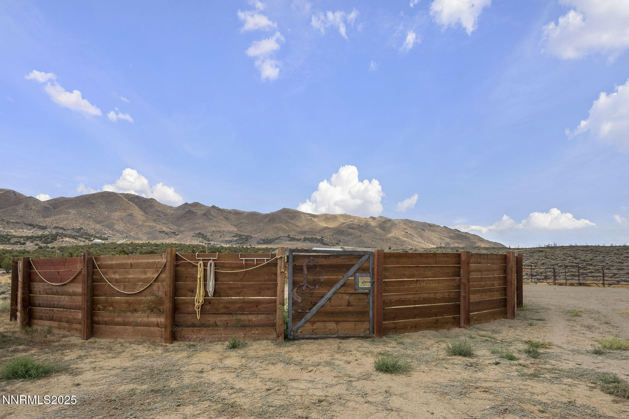 32-web-or-mls-_DSC0189