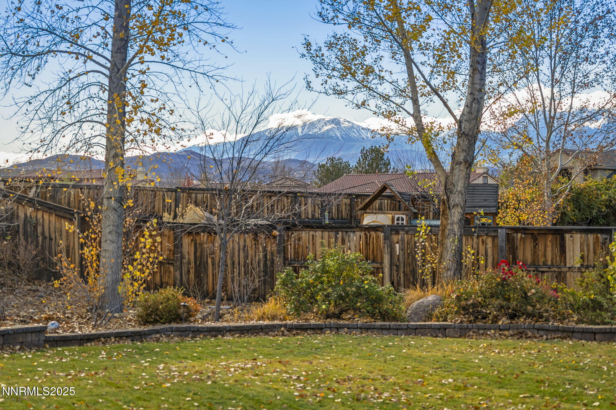 49-web-or-mls-_DSC7950