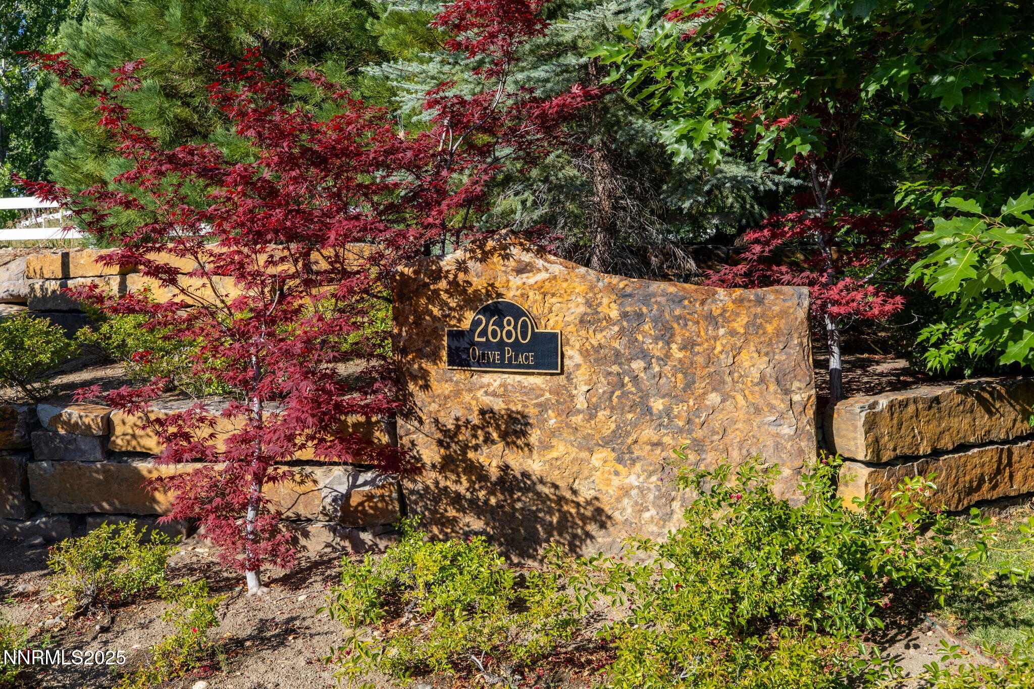 23-web-or-mls-2680 Olive Pl-6