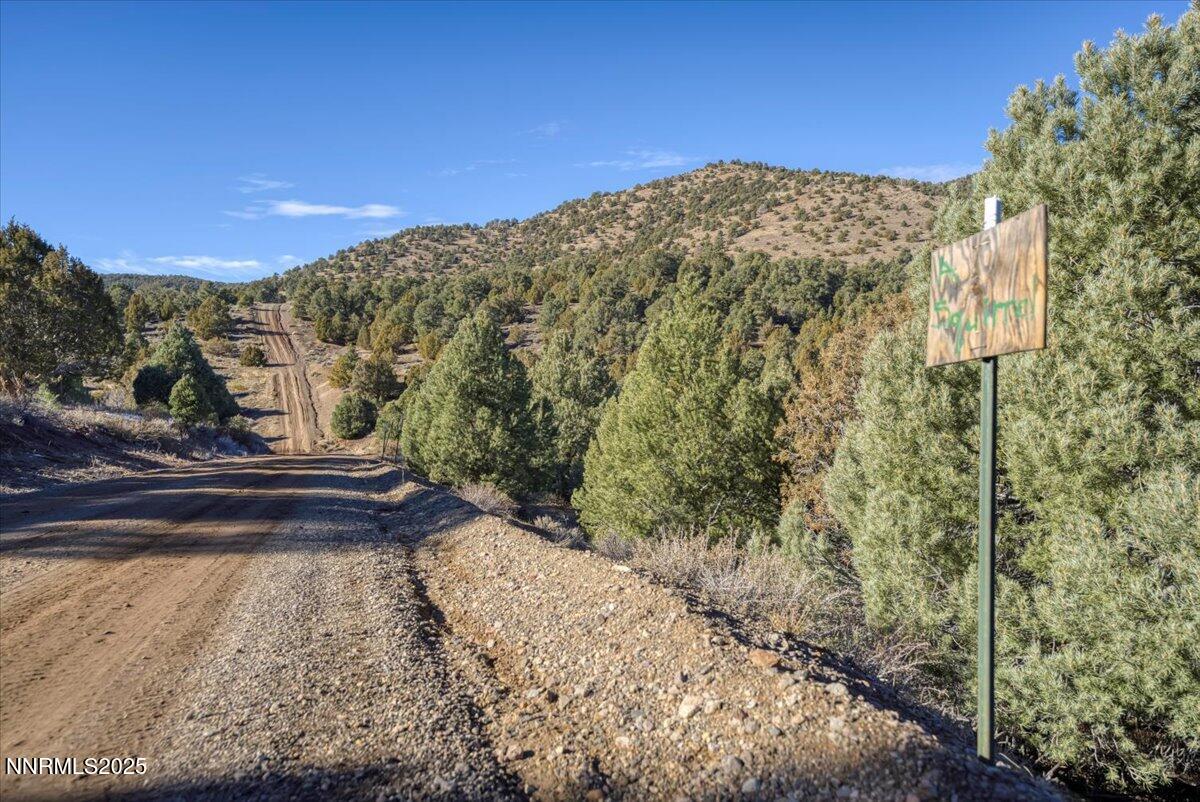 40-2120 Scorpion Rd Reno NV 89521 (40 of