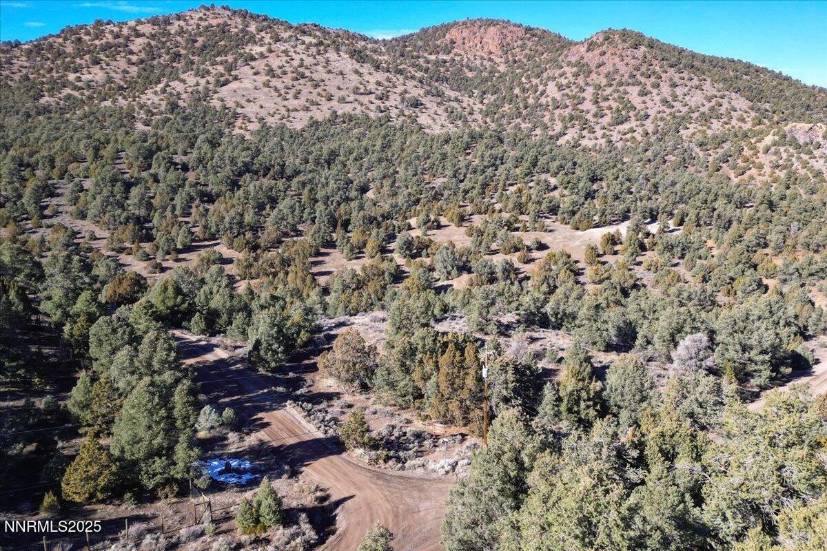 36-2120 Scorpion Rd Reno NV 89521 (36 of