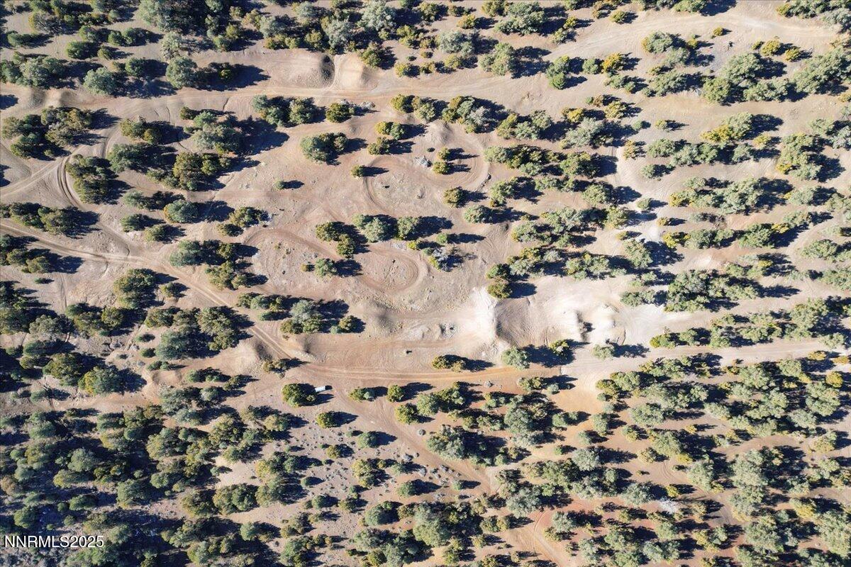 25-2120 Scorpion Rd Reno NV 89521 (25 of