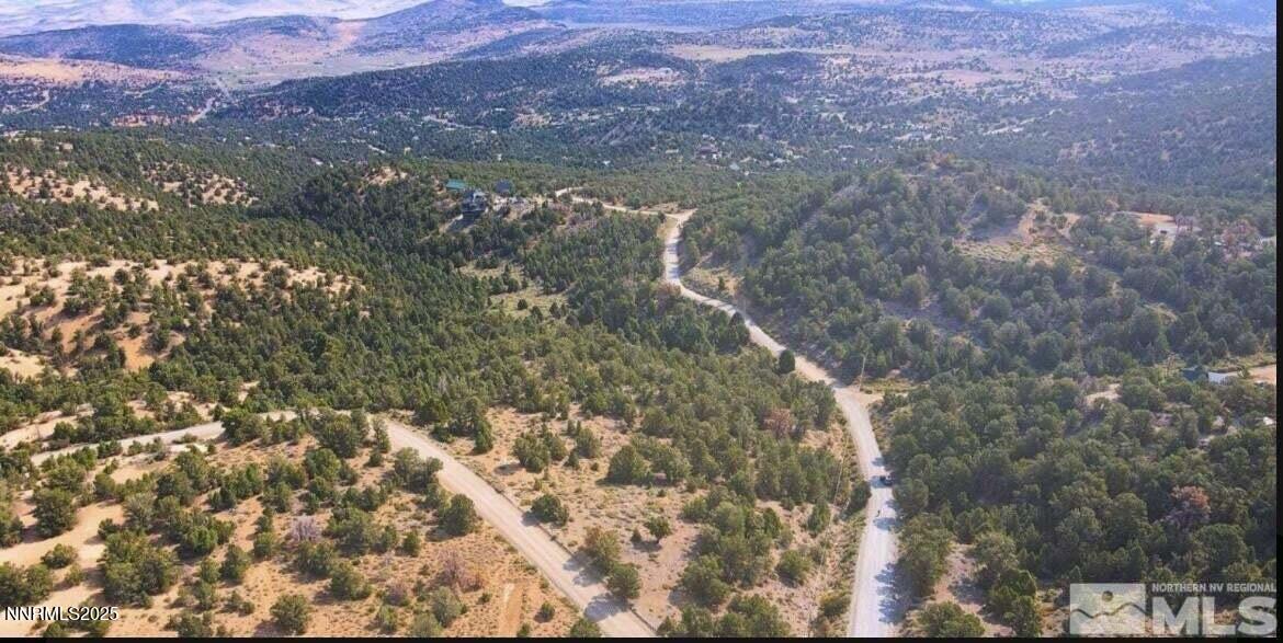 20250410083741325806000000-o